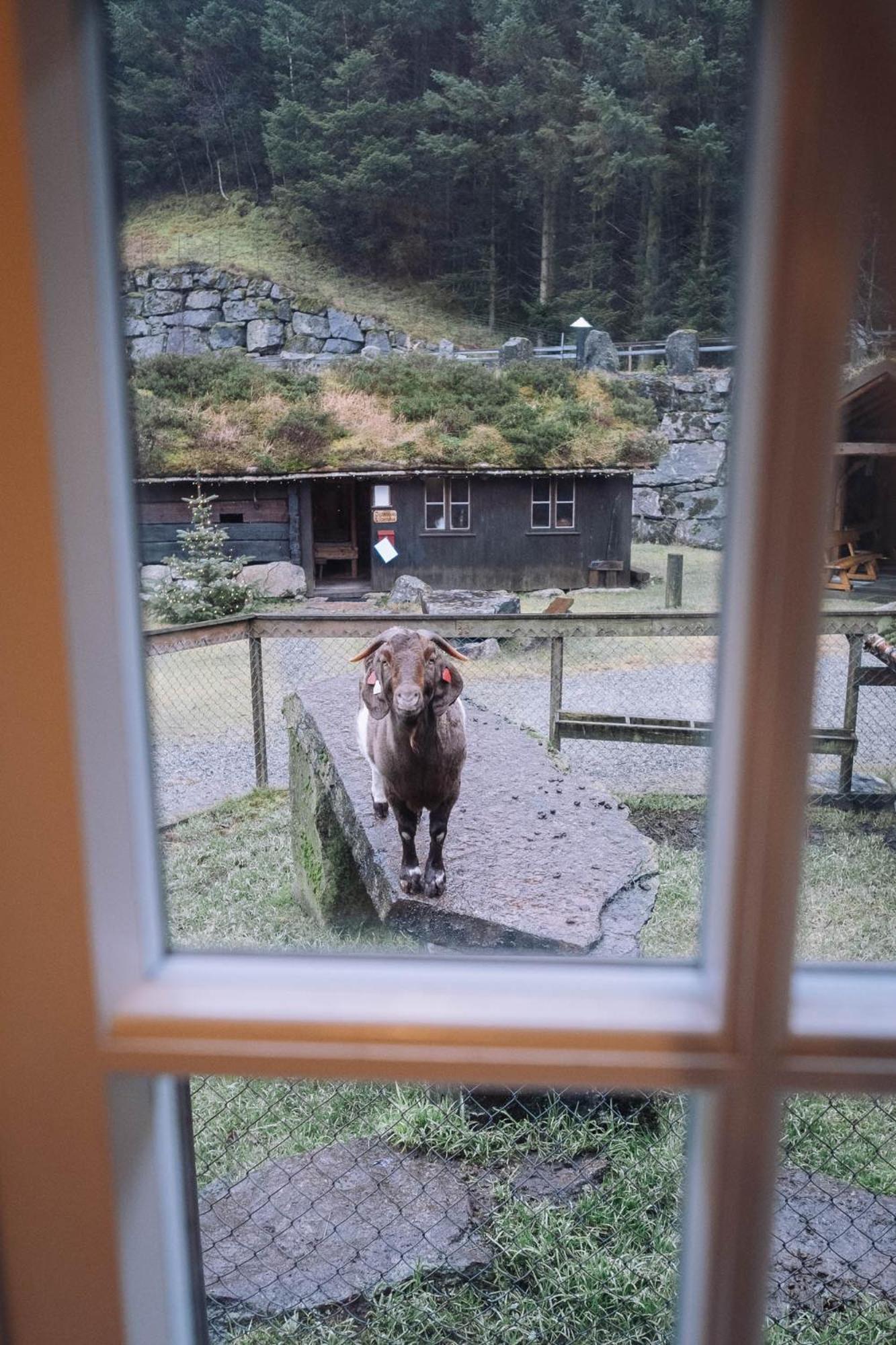 Byrkjedalstunet Hotell Esterno foto